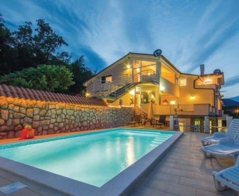 Schöne Villa in Veprinac mit Swimmingpool und fantastischem Meerblick - foto 10