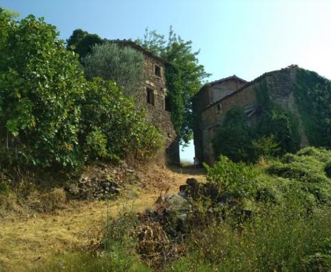 Fantastic land plot for sale in Motovun area with stunning views of Istria - pic 5