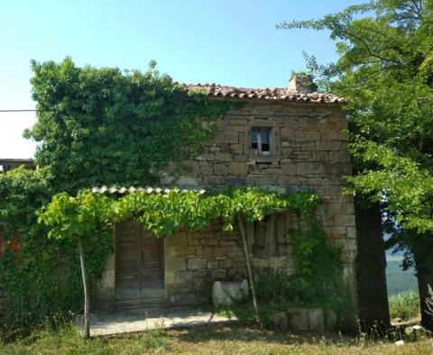 Fantastic land plot for sale in Motovun area with stunning views of Istria - pic 9