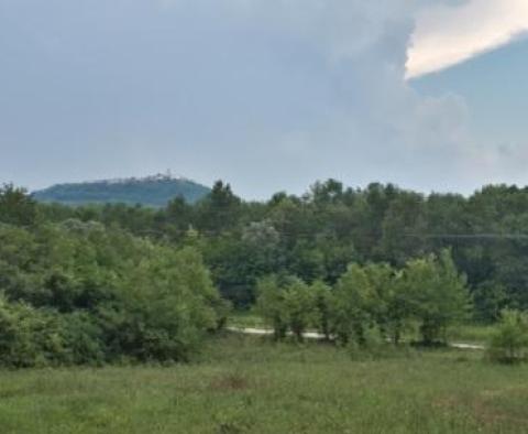 Na sprzedaż ogromna działka w rejonie Livade w dolinie Motovun, przeznaczona pod budownictwo mieszkaniowe - pic 5