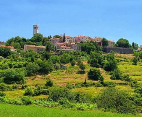 Na sprzedaż ogromna działka w rejonie Livade w dolinie Motovun, przeznaczona pod budownictwo mieszkaniowe - pic 7