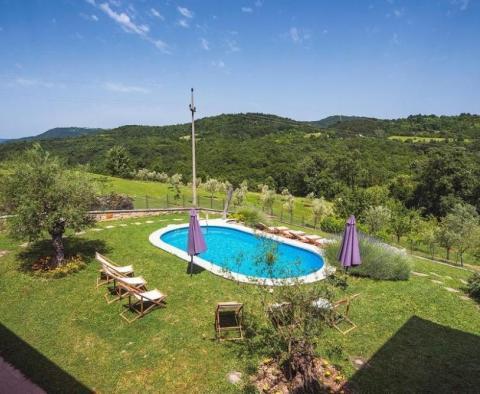 Spacious villa with pool and two residential wings, Pazin area - pic 5