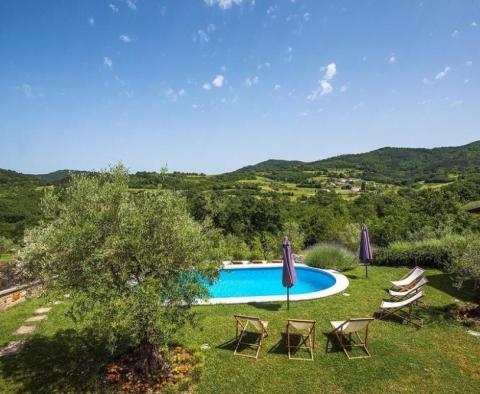 Spacious villa with pool and two residential wings, Pazin area - pic 4