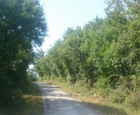 Agricultural land for sale in Ripenda Kras in Labin area, 56.000m2 - pic 2