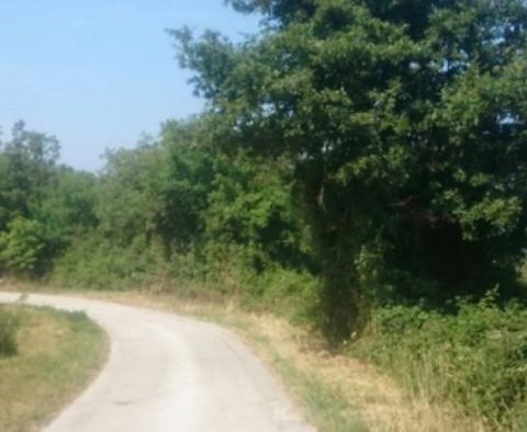 Landwirtschaftliche Flächen zum Verkauf in Ripenda Kras in Labin, 56.000 m2 - foto 4