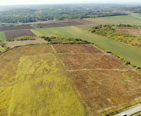 Prodej prostorné zemědělské půdy v oblasti Buje, 83.917m2 