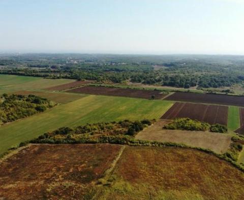 Prodej prostorné zemědělské půdy v oblasti Buje, 83.917m2 - pic 8