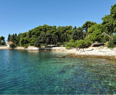 Urbanisiertes Land in Rovinj, 4.000 m2 - foto 4