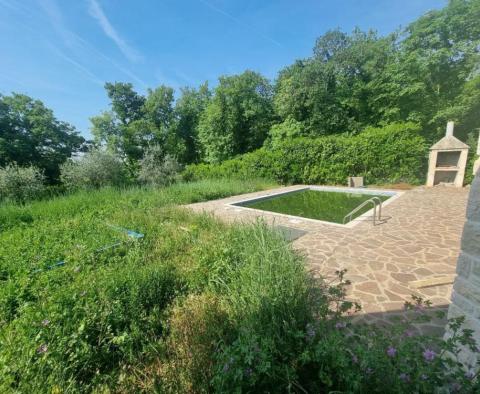 Villa avec piscine dans la région d&#39;Umag cca. A 4 km de la mer - pic 3