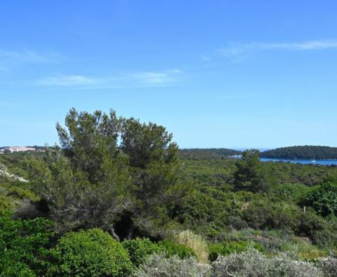 Geräumige Familienvilla mit Meerblick in der Gegend von Pula, in Vinkuran - foto 4