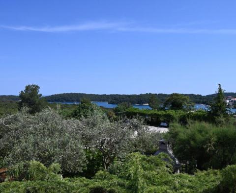 Geräumige Familienvilla mit Meerblick in der Gegend von Pula, in Vinkuran - foto 16