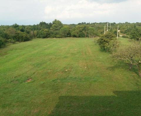 Großes Anwesen in der Gegend von Katoro in Umag, nur 500 Meter vom Meer entfernt, Grundstück von 7357 qm. - foto 11