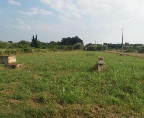 Large estate in Katoro area of Umag just 500 meters from the sea, land plot of 7357 sq.m. - pic 17