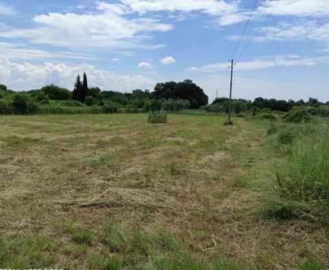 Large estate in Katoro area of Umag just 500 meters from the sea, land plot of 7357 sq.m. - pic 23