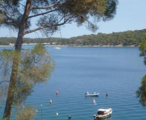 Apart-Haus mit Swimmingpool und 6 Apartments in erster Meereslinie auf Mali Losinj - foto 11