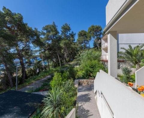 Apart-Haus mit Swimmingpool und 6 Apartments in erster Meereslinie auf Mali Losinj 