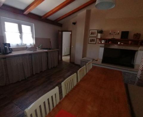 Appartement touristique de 7 appartements à Fažana, à seulement 230 mètres de la plage - pic 45