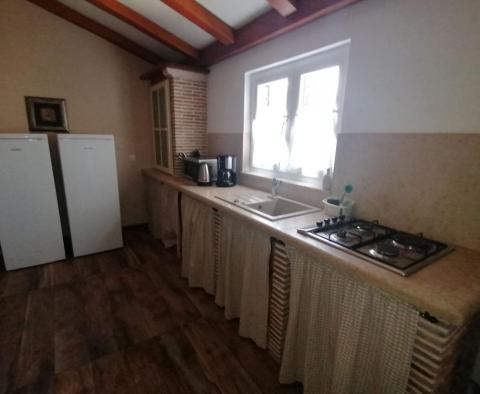 Appartement touristique de 7 appartements à Fažana, à seulement 230 mètres de la plage - pic 48