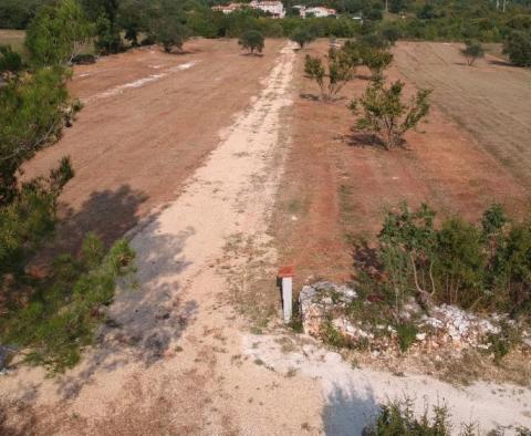 Einzigartiges Grundstück zum Verkauf in Putini, Kanfanar – Kombination aus Agrar- und Stadtgrundstück, 14.161 m². - foto 2