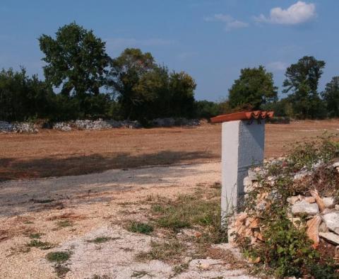 Wyjątkowa działka na sprzedaż w Putini, Kanfanar - połączenie rolnictwa i miasta, 14161 m2. - pic 3