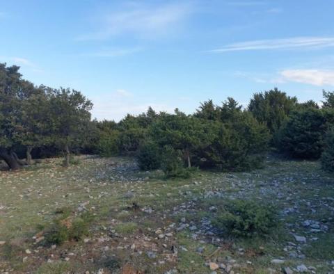 Terrain agricole sur l'île de Cres - pic 3