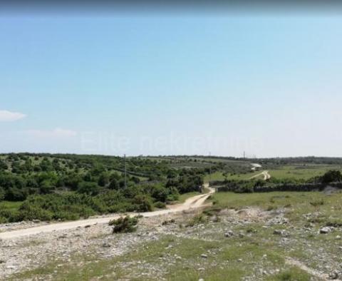 Terrain agricole sur l'île de Cres - pic 5