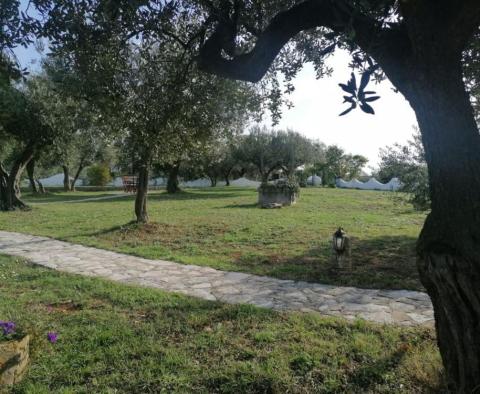 A unique rustic villa with a view of the Brijuni Islands in Galizana! - pic 72