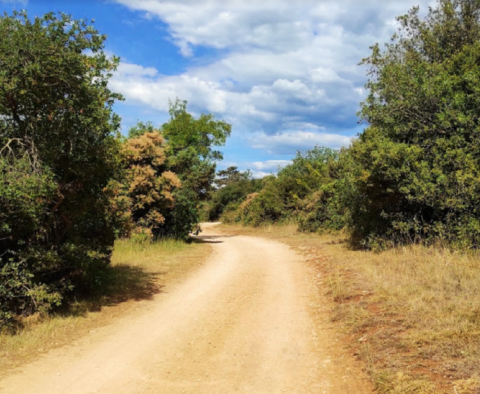 Cheap land in Poreč just 200 meters from the sea - unique! - pic 2