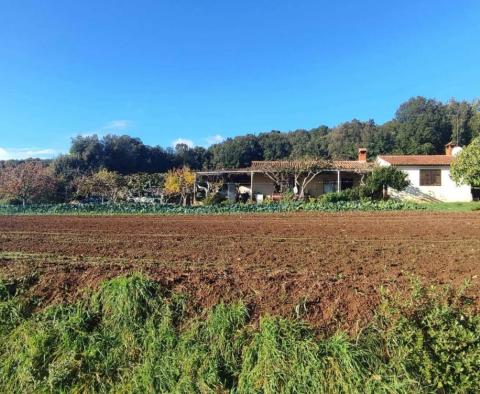 Geräumiges Anwesen in der Gegend von Rovinj, nur wenige Gehminuten vom Meer entfernt, auf 11000 qm. vom Land - foto 7