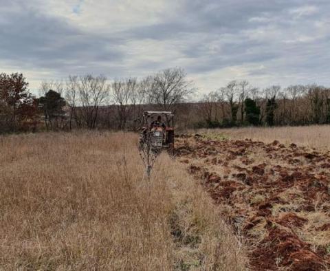 Terrain urbanisé attrayant à vendre à Bale sur 1 hectare. - pic 15