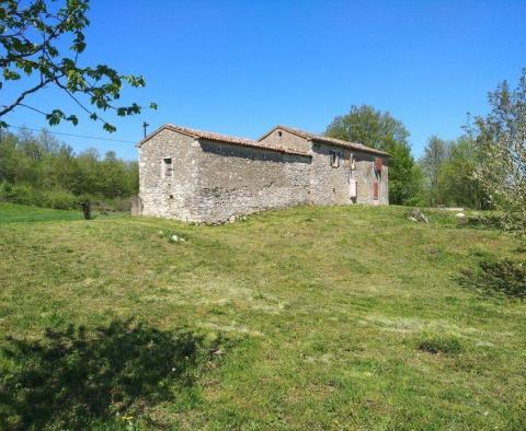 Traditional Istrian Estate in Krsan - pic 4