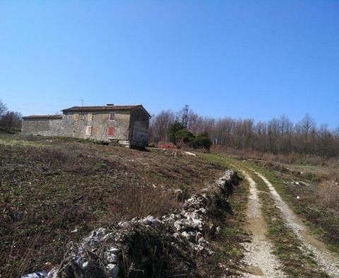 Traditional Istrian Estate in Krsan - pic 8