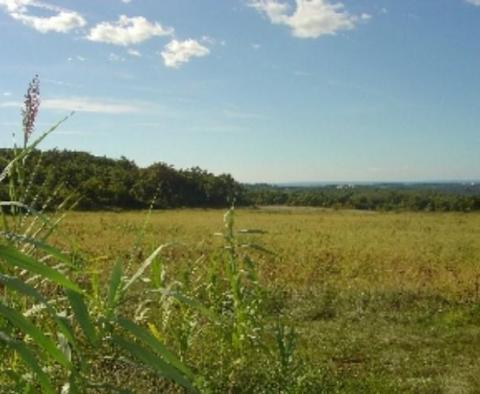 Grand terrain à vendre à Visinada avec vue sur la mer - pic 3