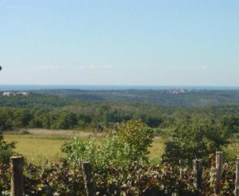 Grand terrain à vendre à Visinada avec vue sur la mer - pic 2