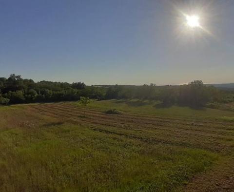 Terrain à vendre dans la région de Visinada près de Porec - pic 4