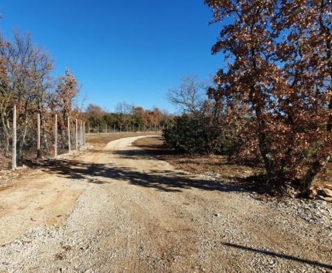 Fantastic estate for sale in Svetvincenat on 27.283m2 of land - pic 10