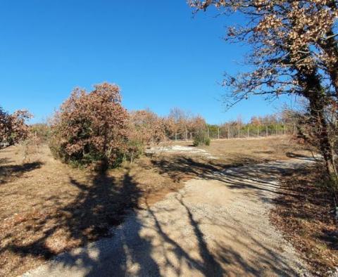 Fantastic estate for sale in Svetvincenat on 27.283m2 of land - pic 15