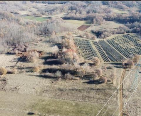 Terrain agricole dans la région de Labin sur 2 ha 