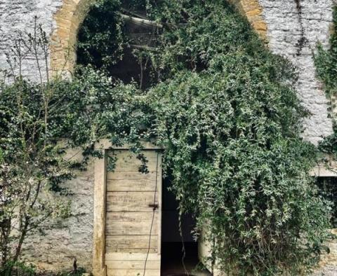 Vila s bazénem a výhledem na Motovun v Livade, oblast Motovun! - pic 4