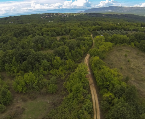 Large land in Rakalj, Marčana - pic 7