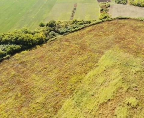 Na sprzedaż przestronna działka rolna w okolicy Buje o powierzchni 83.917m2 - pic 3