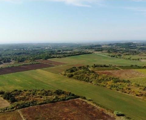 Na sprzedaż przestronna działka rolna w okolicy Buje o powierzchni 83.917m2 - pic 7