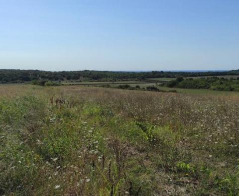 Terrain spacieux à vendre dans la région de Buje, à usage agricole, 39.178m2 - pic 2