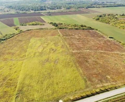 Terrain spacieux à vendre dans la région de Buje, à usage agricole, 39.178m2 - pic 7