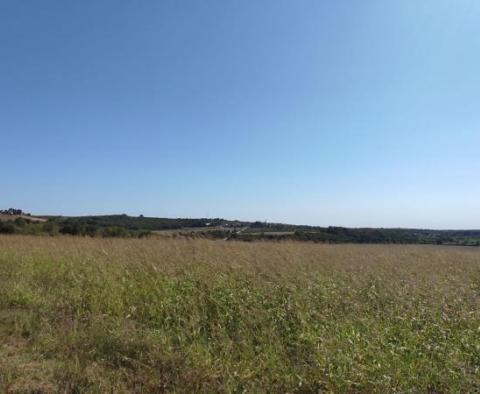 Terrain spacieux à vendre dans la région de Buje, à usage agricole, 39.178m2 - pic 9