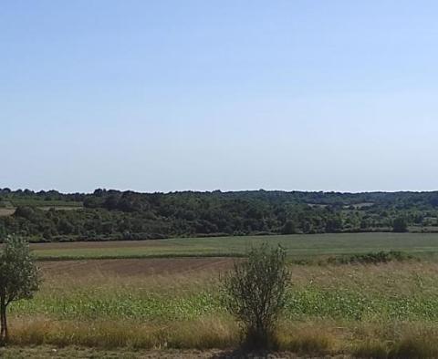 Terrain spacieux à vendre dans la région de Buje, à usage agricole, 39.178m2 - pic 11