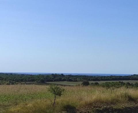 Terrain spacieux à vendre dans la région de Buje, à usage agricole, 39.178m2 - pic 12