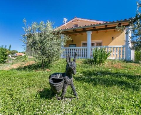 Cosy house in Ližnjan, Istria - pic 2