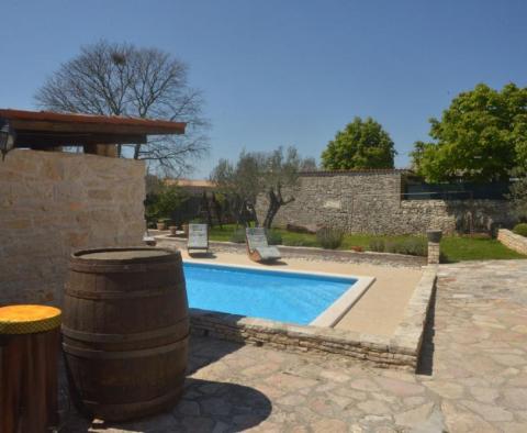 Villa de style traditionnel avec piscine à Svetvinčenat - pic 3