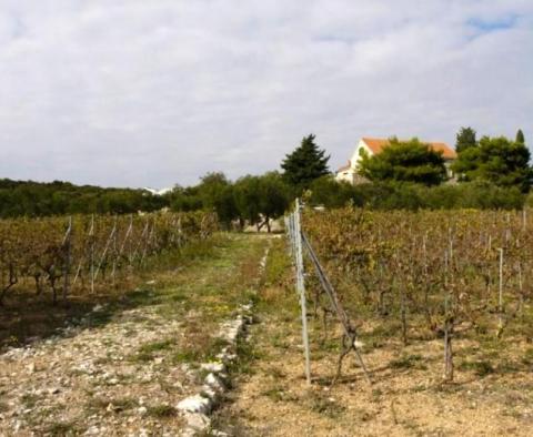 Egyedülálló vízparti kastély Sibenik környékén, hozzáféréssel a mólóhoz és a strandhoz - pic 25